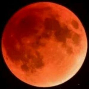 Meet your Posher, Ed